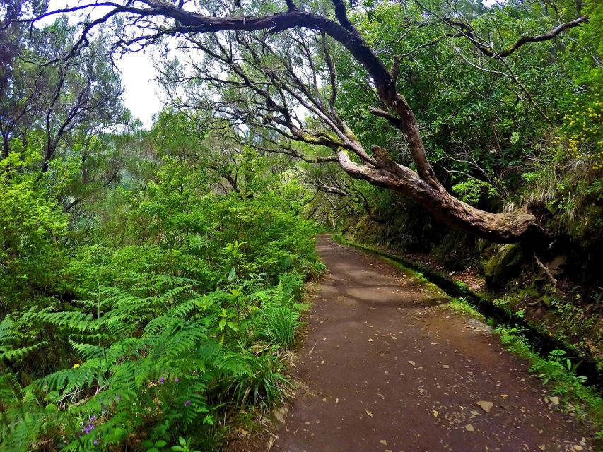 Small Group Walks Rabaçal 25 Fontes - The main event: the 25 springs lagoon and waterfall
