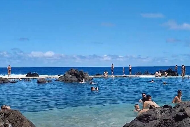 Small Group West Tour Waterfalls & Fanal Forest Tour - Why this west-and-north Madeira loop is a smart day plan