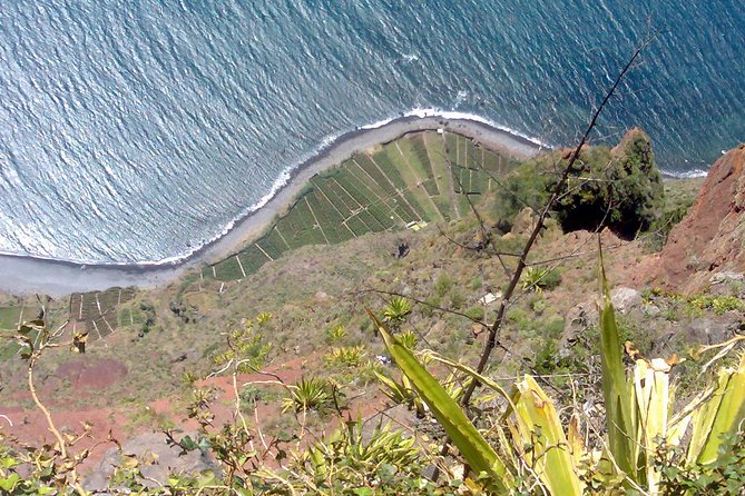 Small Group West Tour Waterfalls & Fanal Forest Tour - Stop 4: Ponta do Sol, sunniest vibes and banana valleys