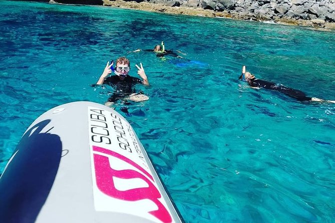 Snorkelling Trip at Ponta de São Lourenço Protected Area - Meet the guides, and why their approach helps beginners
