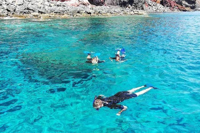 Snorkelling Trip at Ponta de São Lourenço Protected Area - Jellyfish and sea conditions: your real-world checklist