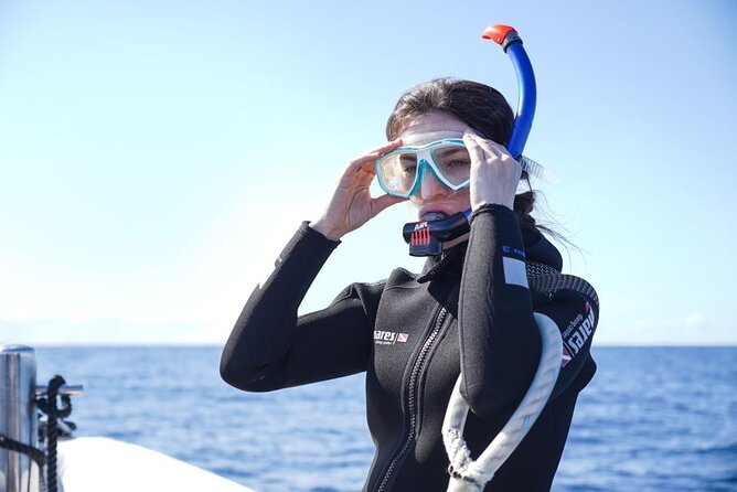 Snorkelling Trip at Ponta de São Lourenço Protected Area - Price and value: $42.24 makes sense if you plan the rest