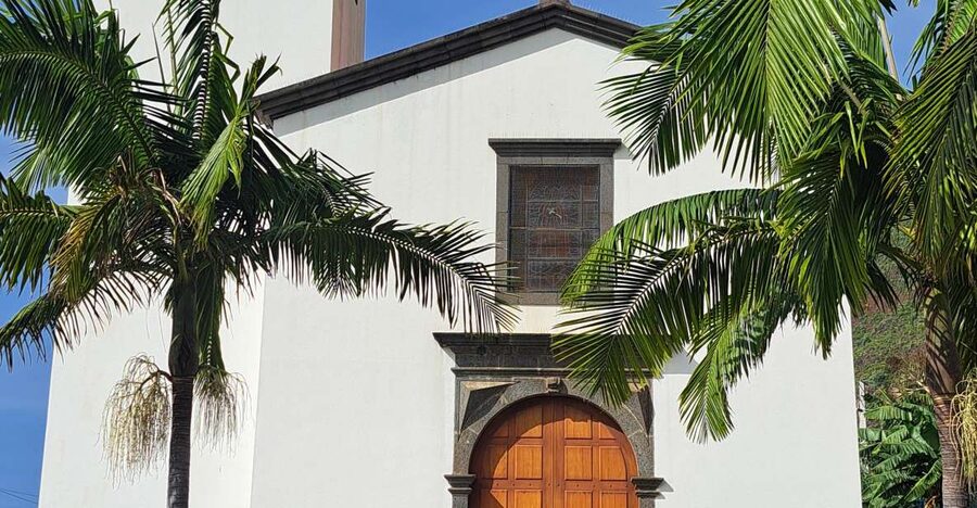 South Madeira: breathtaking coastal trip incl. Porto Moniz. - Key moments you will actually care about
