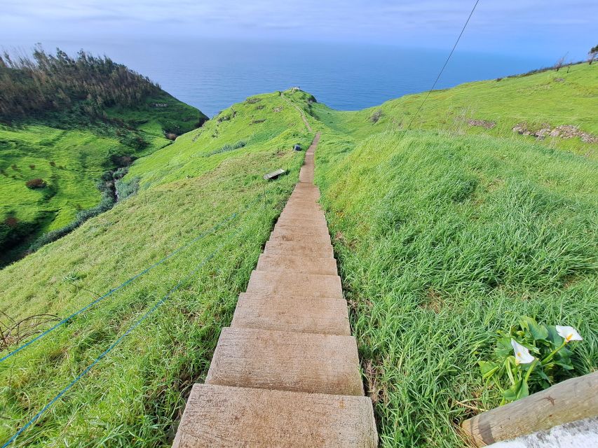 South Madeira: breathtaking coastal trip incl. Porto Moniz. - Madalena do Mar: banana plantation shade and a calmer pace