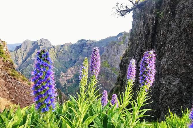 Sunrise Guided Hike PR1 Pico do Areeiro Pico Ruivo small group - Pickup, Timing, and What the 6 to 8 Hours Feels Like