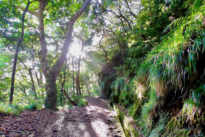 Sunrise Tour @ Pico Do Areiro | Half Day 4x4 Tour - Stop 3: Balcoes de Ribeiro Frio, a levada walk you often have to yourself