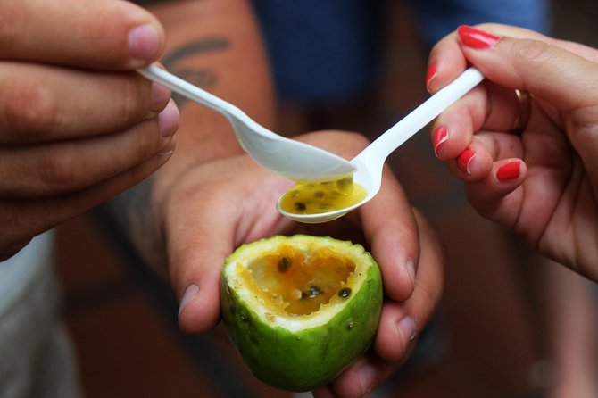 Taste Funchal: food, wine & cultural tour - Funchal by foot, with food and wine steering the day