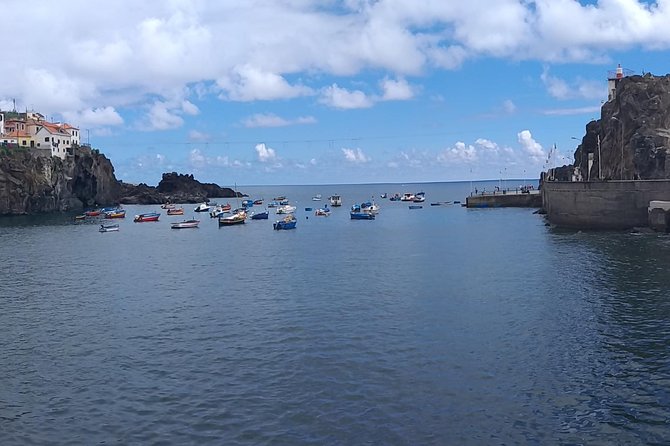 The best of the West of Madeira - Stop 1: Camara de Lobos, Colorful Fishing Town Energy