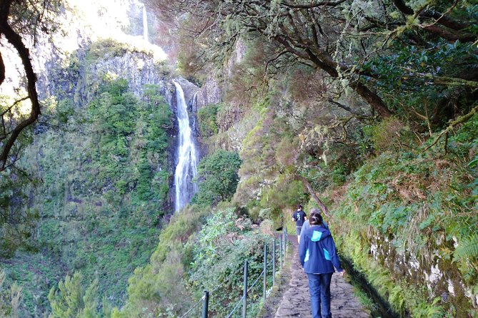 The Fantastic Cascades - Why the 25 Fontes and Risco waterfalls earn their reputation