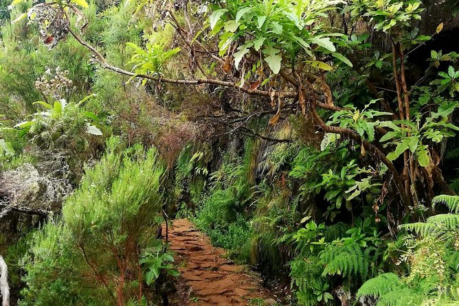 The Lakes Walk - Hotel pickup in Funchal, then out toward the plateau