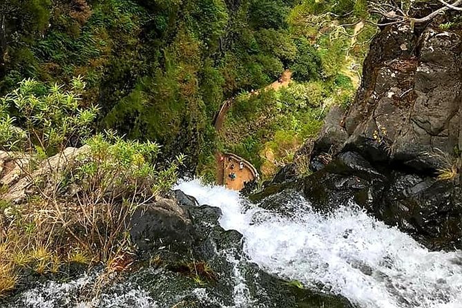 The Lakes Walk - Language and guide style: what you gain from going with a local