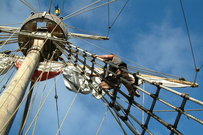 Time Travel on Columbus Replica Flag Ship in Madeira - Wildlife at sea: what the cetacean plan means for your expectations