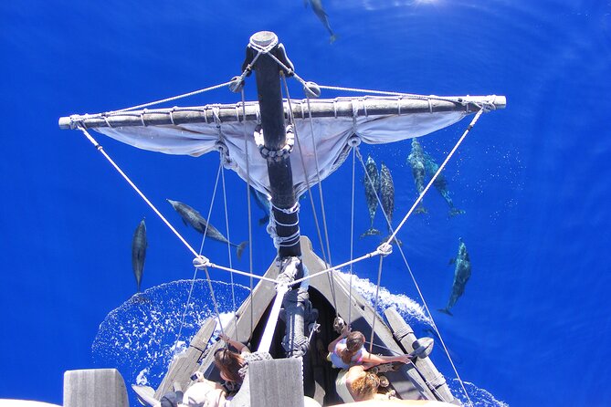 Time Travel on Columbus Replica Flag Ship in Madeira - Price and value: what $54.31 gets you in 3 hours