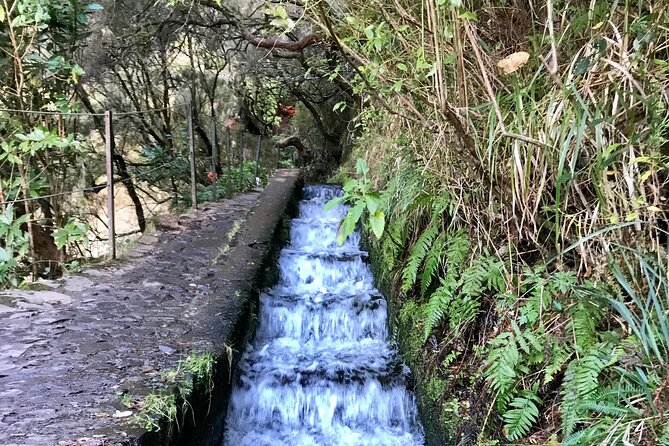 Twenty-Five Fountains Levada walks (private) - Walking the 12 km route: tunnels, water, and footwear that won’t fail you
