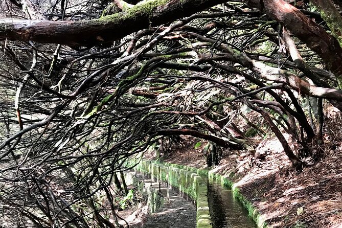Twenty-Five Fountains Levada walks (private) - How the pace and guide style make a long walk feel pleasant