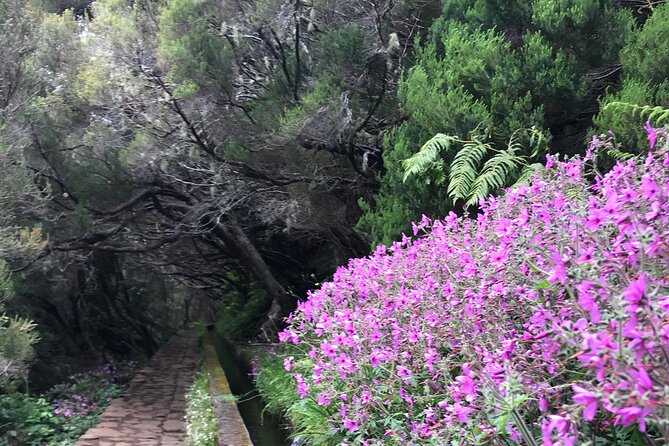 Twenty-Five Fountains Levada walks (private) - Value check: is $90.31 per person a fair deal?