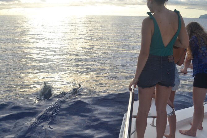 VipDolphins Luxury Whale Watching - The catamaran experience on a small 17-person boat