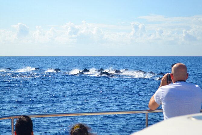 VipDolphins Luxury Whale Watching - Cabo Girao swim and snorkeling stop: the part you will remember
