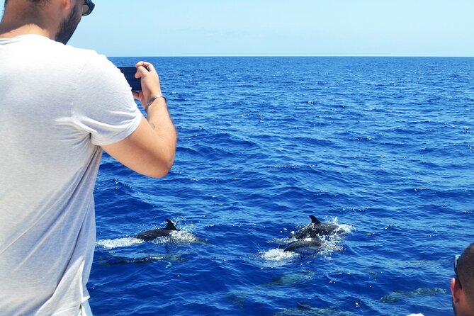 VipDolphins Luxury Whale Watching - Drinks, snacks, and desserts: why the onboard vibe matters