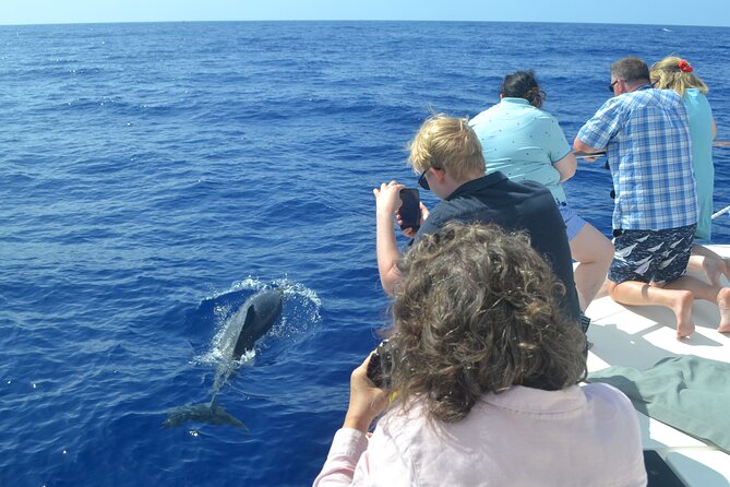VipDolphins Luxury Whale Watching - Comfort and facilities: the little wins add up
