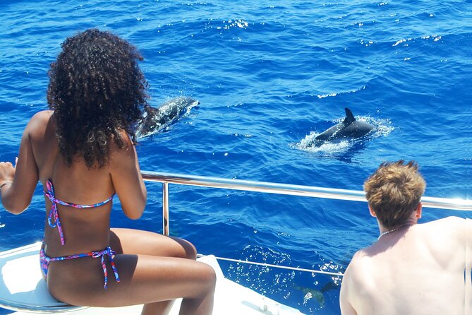 VipDolphins Luxury Whale Watching - Price and what you actually get for $95.53
