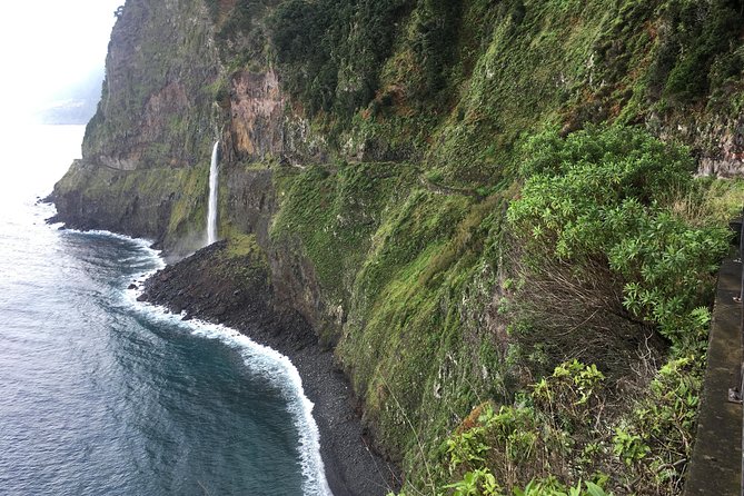 West Madeira 4x4 Tour with Local Guide - Posto Florestal Fanal: where fog and trees do the work