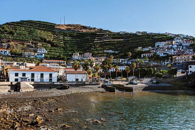 West Madeira Island Guided Tour & Fanal Mystic Forest - The Big Idea: Why This 7-Hour Loop Works