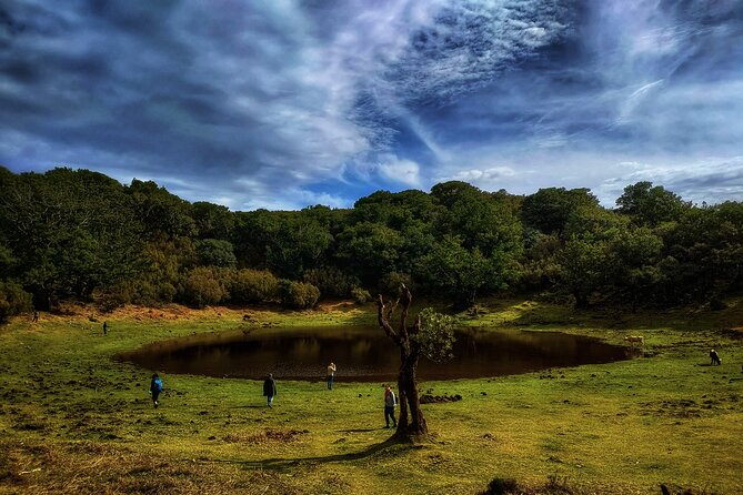 West Madeira Island Guided Tour & Fanal Mystic Forest - Meeting in Funchal and Getting Comfortable in the Van