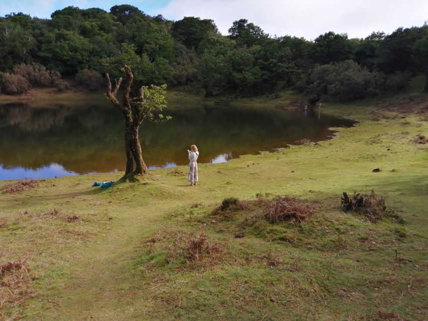 West Madeira:, Laurel Forest, Waterfall, Rock Pools, Walk - Ribeira Brava’s Market Energy, Church Interiors, and Café Stops