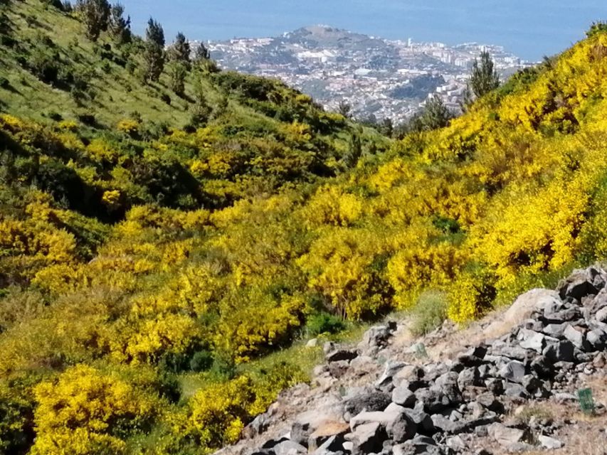 West Madeira:, Laurel Forest, Waterfall, Rock Pools, Walk - Seixal and the Bride’s Veil Viewpoint: Short Stop, Strong Atmosphere
