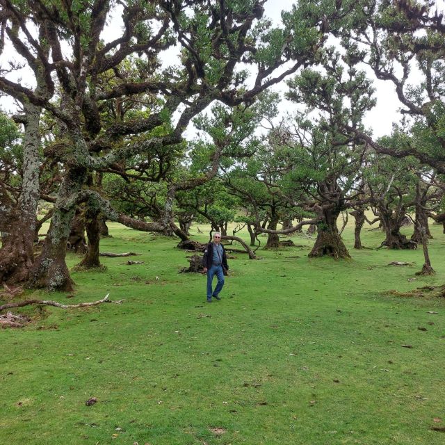 West Madeira:, Laurel Forest, Waterfall, Rock Pools, Walk - The Return Through Serra de Água Gorge: Why the Drive Matters