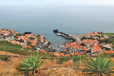 West Tour-Fanal Forest & Porto Moniz Natural Pools Small Groups