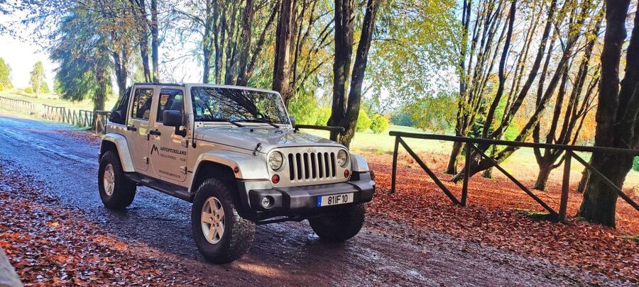 West tour - Porto Moniz VIP 4X4 Wrangler Tour 8h trip - Fanal Forest: UNESCO laurel forest, explained by your guide