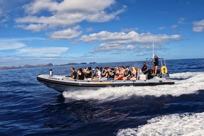Whale and Dolphin Watching Tour from Funchal - Price check: is $58.07 good value for Madeira wildlife?