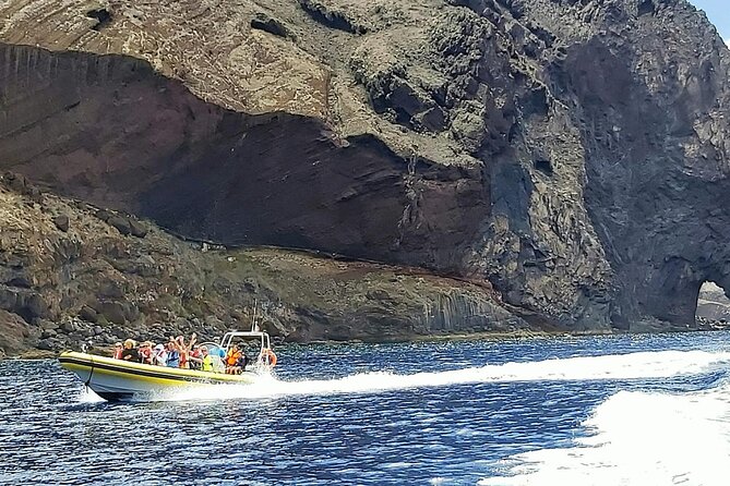 Whale & Dolphin Watching in Madeira - Spotting whales and dolphins: what you can realistically expect