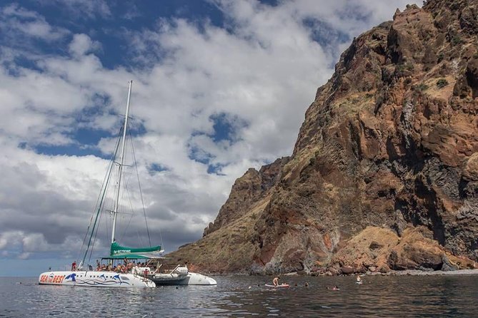 Wines Tasting Experience and Skywalk with Dolphin Watching - Guides, Group Size, and Wi-Fi: Why This Feels More Personal