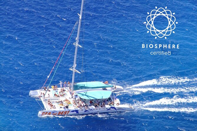 Wines Tasting Experience and Skywalk with Dolphin Watching - Morning Logistics in Funchal: Pickup Timing and the 4x4 Schedule